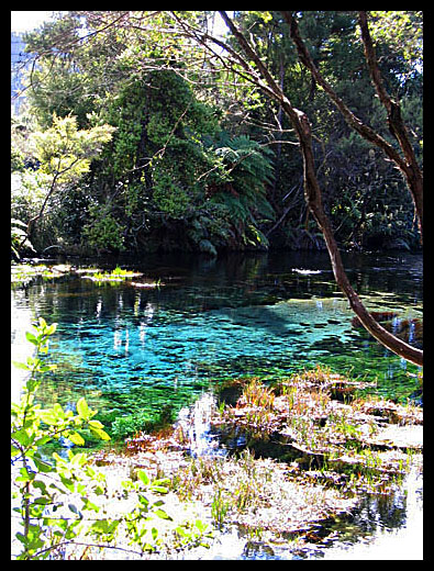 Waikoropupu springs